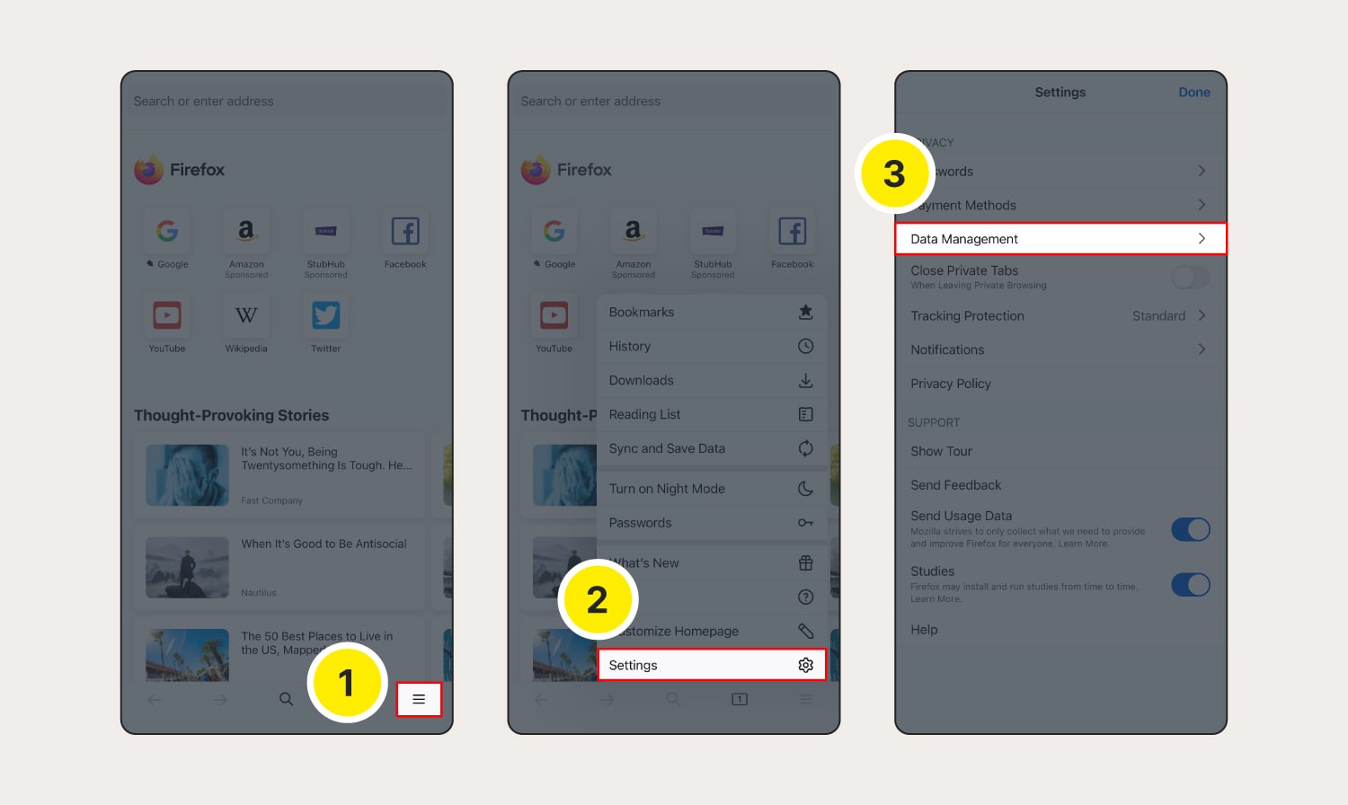 Abbildung: Löschen von Cookies in Firefox auf einem iOS-Gerät